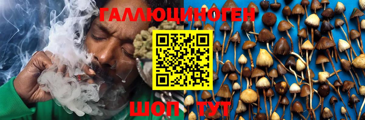 Галлюциногенные грибы Cubensis  Галлюциногенные грибы Psilocybine cubensis  Елизово  Вход с VPN 