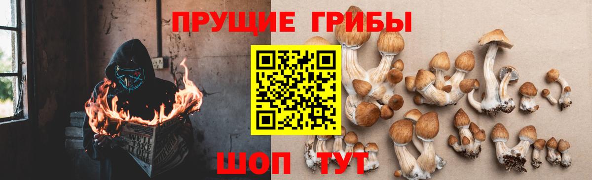 Псилоцибиновые грибы Magic Shrooms Елизово